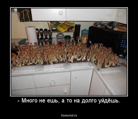 - Много не ешь, а то на долго уйдёшь.