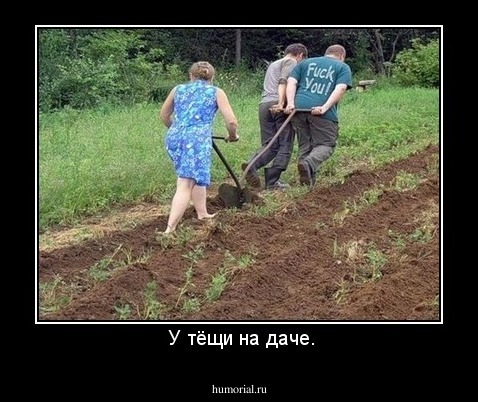  У тёщи на даче.