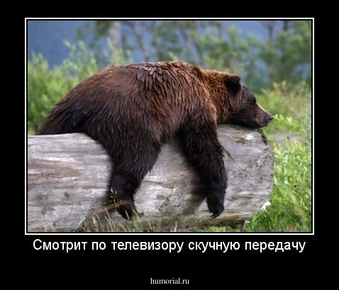 Смотрит по телевизору скучную передачу