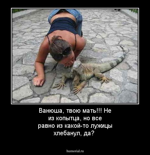 Ванюша, твою мать!!! Не из копытца, но все равно из какой-то  лужицы хлебанул, да?