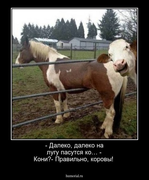 - Далеко, далеко на лугу пасутся ко… - Кони?- Правильно, коровы!