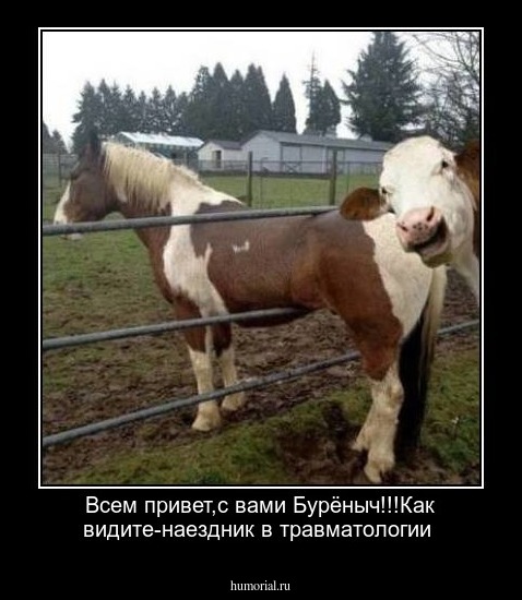 Всем привет,с вами Бурёныч!!!Как видите-наездник в травматологии