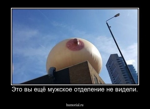 Это вы ещё мужское отделение не видели.