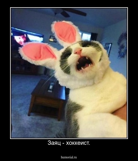 Заяц - хоккеист.