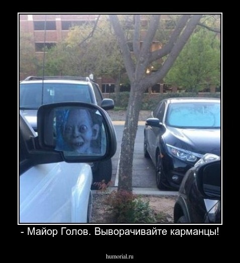 - Майор Голов. Выворачивайте карманцы!