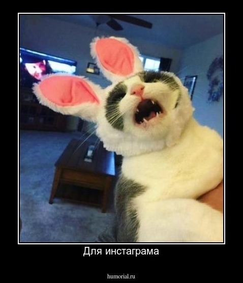 Для инстаграма