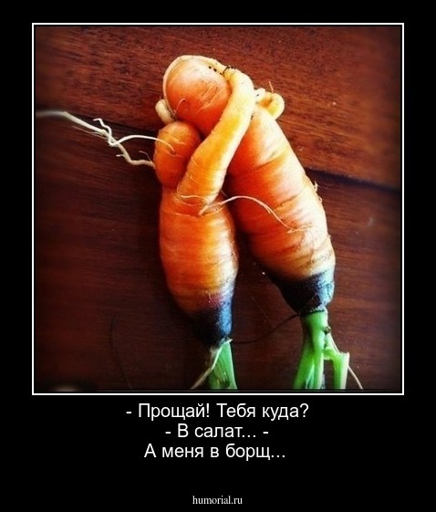 - Прощай! Тебя куда? - В салат... - А меня в борщ...
 