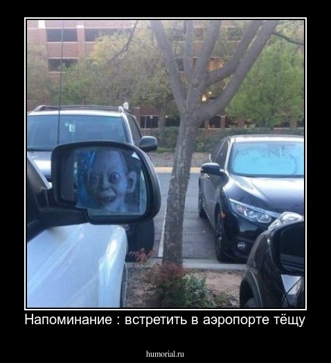 Напоминание : встретить в аэропорте тёщу