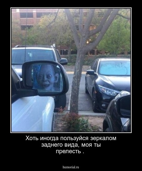 Хоть иногда пользуйся зеркалом заднего вида, моя ты прелесть . 