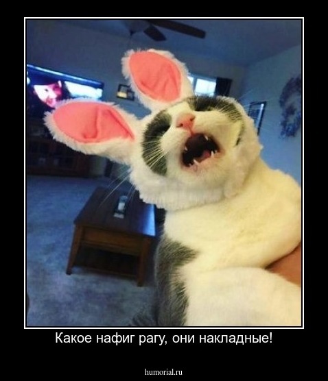 Какое нафиг рагу, они накладные!
