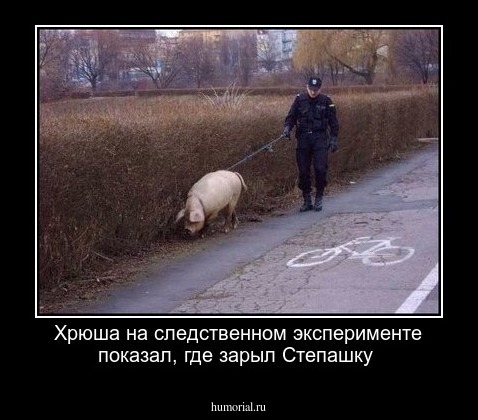 Хрюша на следственном эксперименте показал, где зарыл Степашку 