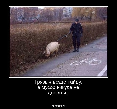 Грязь я везде найду, а мусор никуда не денется.