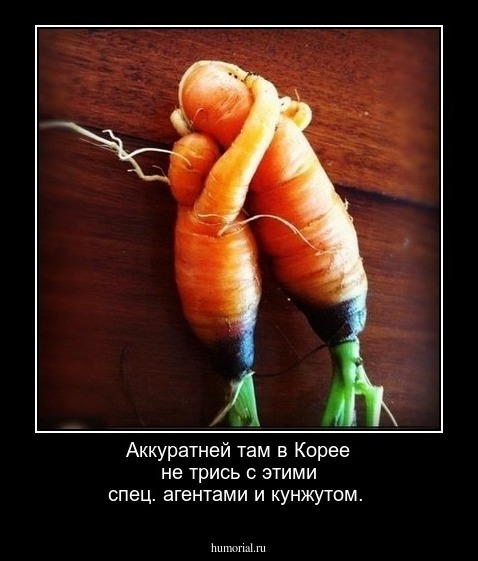 Аккуратней там в Корее не трись с этими спец. агентами и кунжутом.