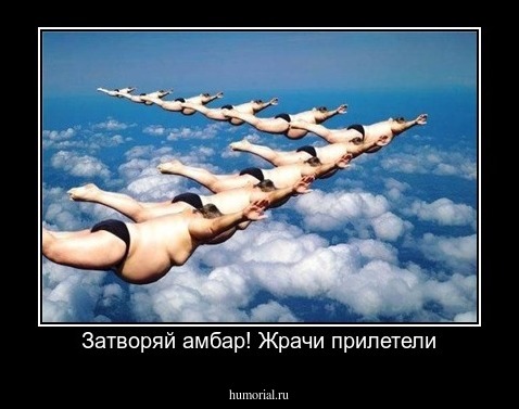 Затворяй амбар! Жрачи прилетели