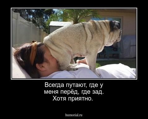 Всегда путают, где у меня перёд, где зад. Хотя приятно.    