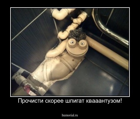 Прочисти скорее шпигат квааантузом!