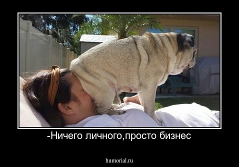 -Ничего личного,просто бизнес