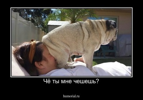 Чё ты мне чешешь?