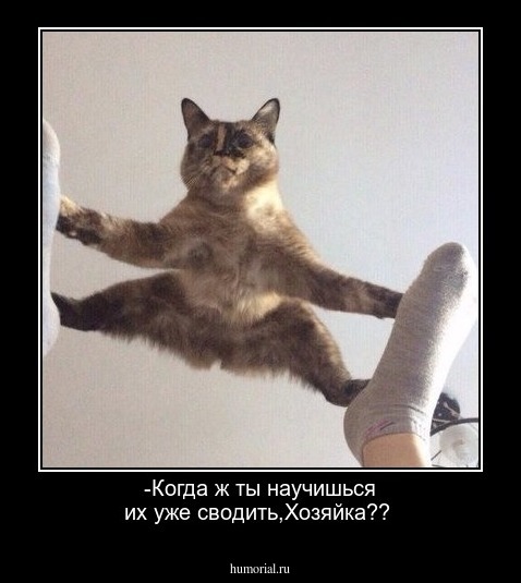 -Когда ж ты научишься их уже сводить,Хозяйка??