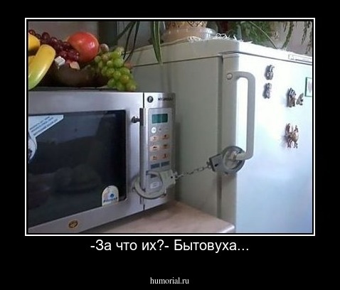 -За что их?- Бытовуха...