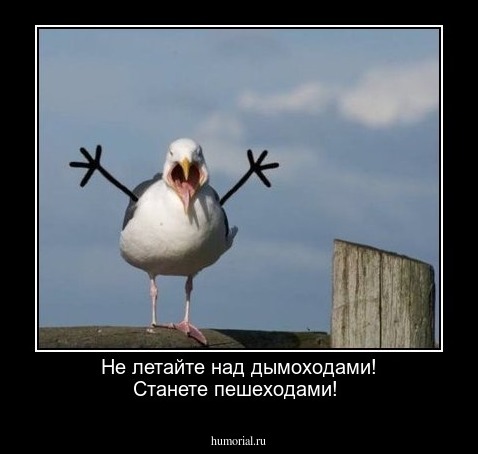 Не летайте над дымоходами! Станете пешеходами!
