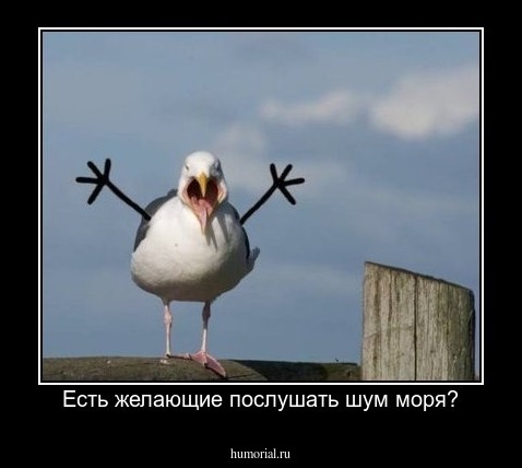 Есть желающие послушать шум моря?