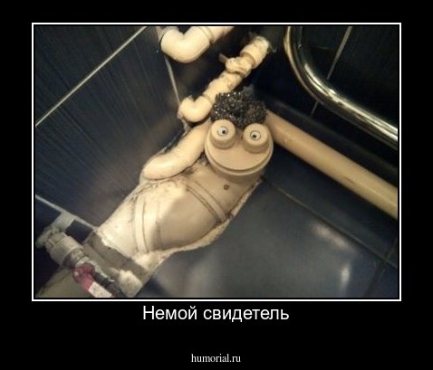 Немой свидетель
