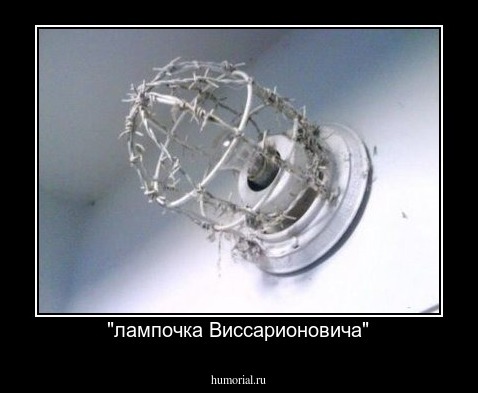  "лампочка Виссарионовича"