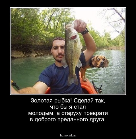 Золотая рыбка! Сделай так,  что бы  я стал  молодым,  а  старуху преврати в доброго преданного друга