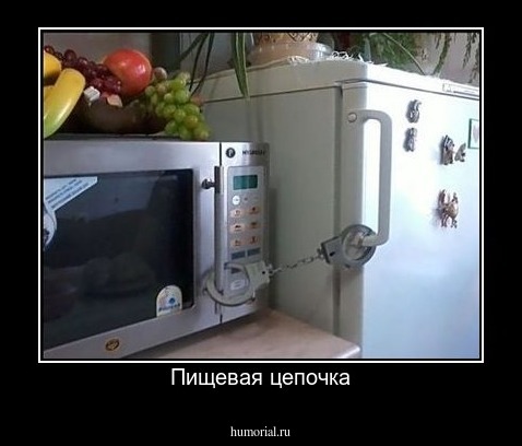 Пищевая цепочка