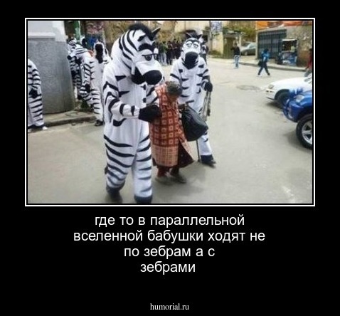 где то в параллельной вселенной бабушки ходят не по зебрам а с зебрами