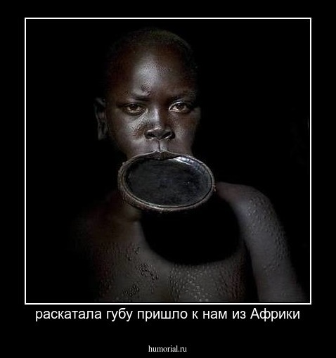 раскатала губу пришло к нам из Африки