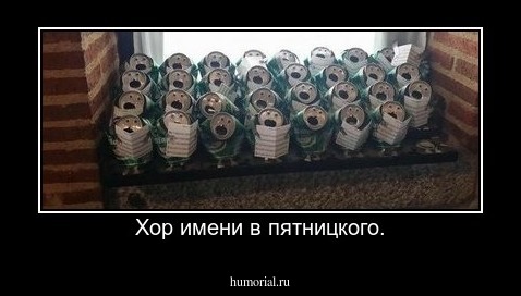 Хор имени в пятницкого.