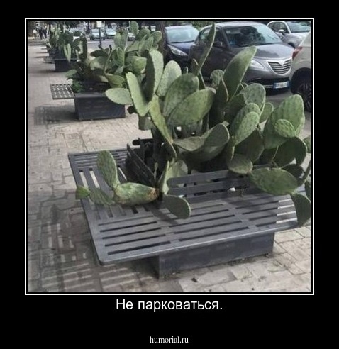Не парковаться.