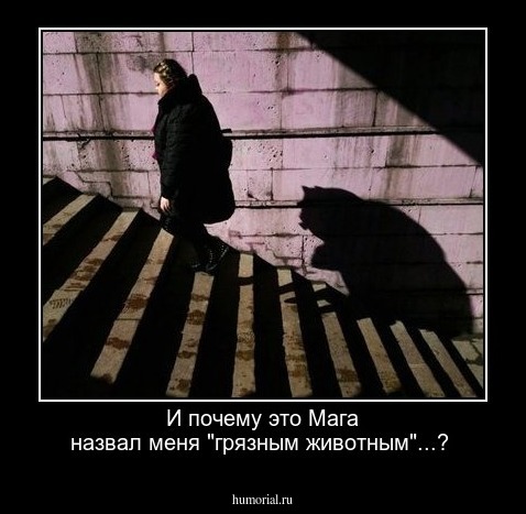 И почему это Мага назвал меня "грязным животным"...?