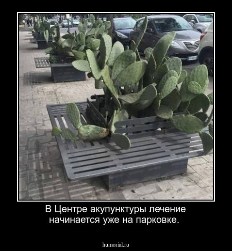 В Центре акупунктуры лечение начинается уже на парковке.