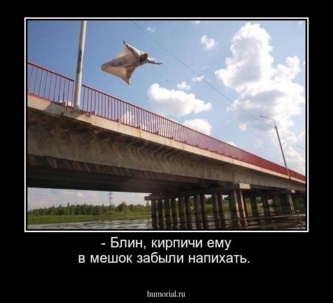 - Блин, кирпичи ему в мешок забыли напихать.