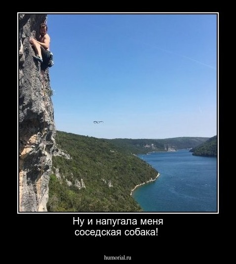 Ну и напугала меня соседская собака!


