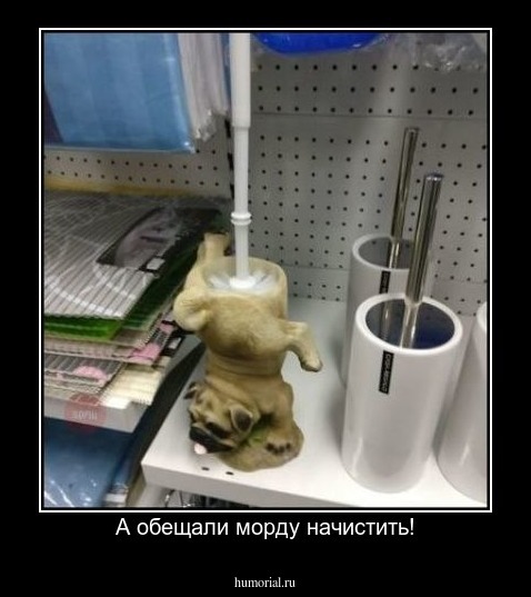 А обещали морду начистить!