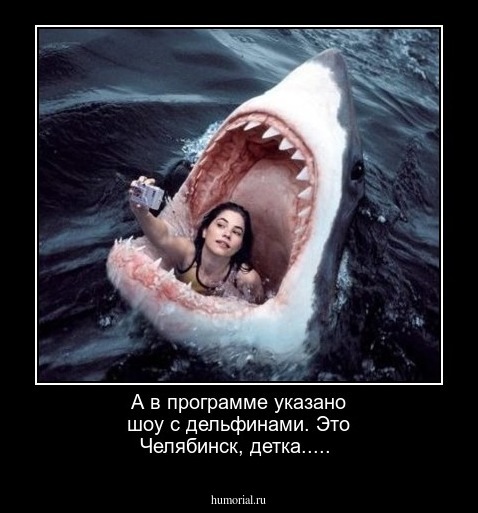 А в программе указано шоу с дельфинами. Это Челябинск, детка.....
