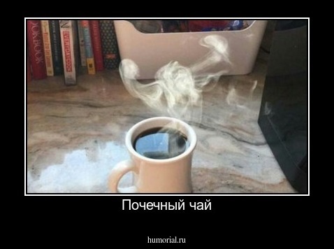 Почечный чай