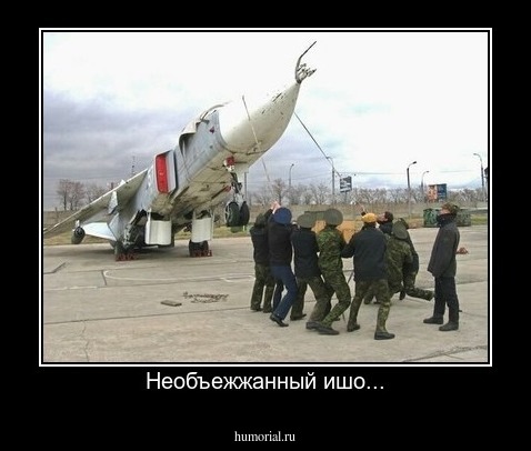 Необъежжанный ишо...