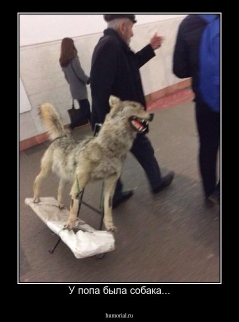 У попа была собака...