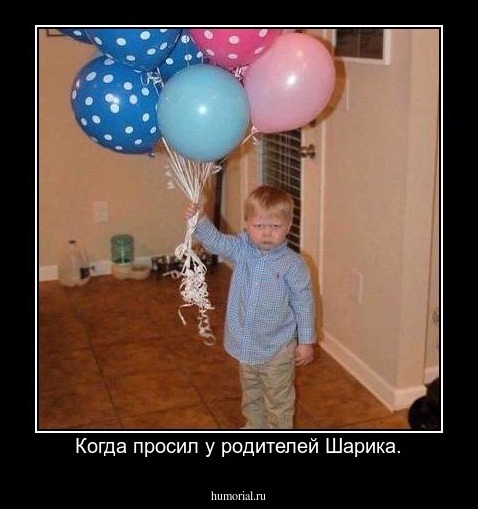 Когда просил у родителей Шарика.