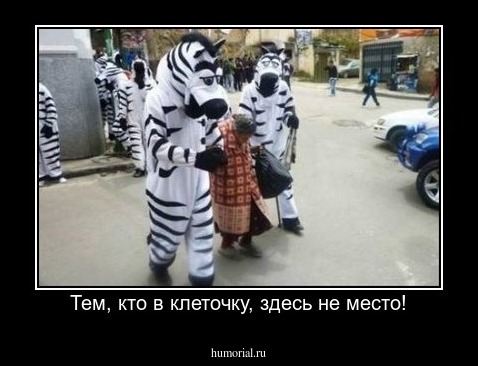 Тем, кто в клеточку, здесь не место!