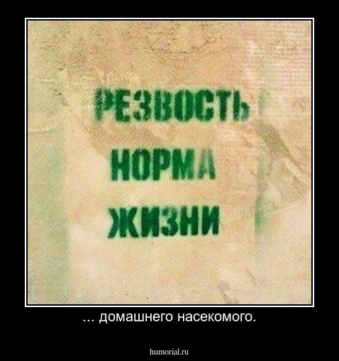 ... домашнего насекомого.