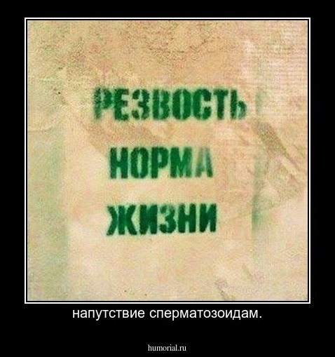 напутствие сперматозоидам.