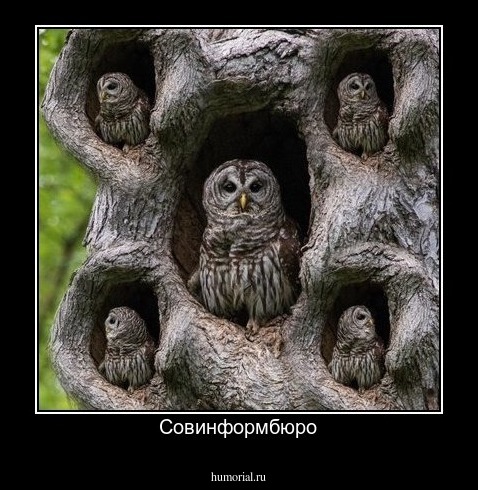 Совинформбюро