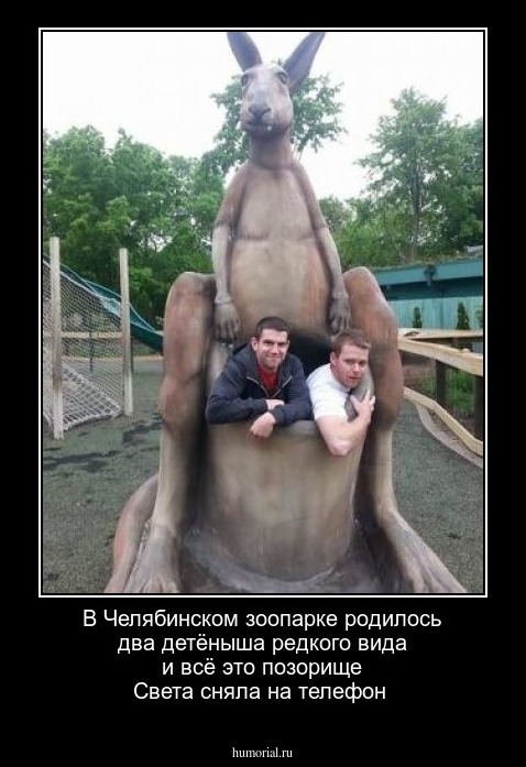 В Челябинском зоопарке родилось два детёныша редкого  вида и всё это  позорище Света  сняла на телефон