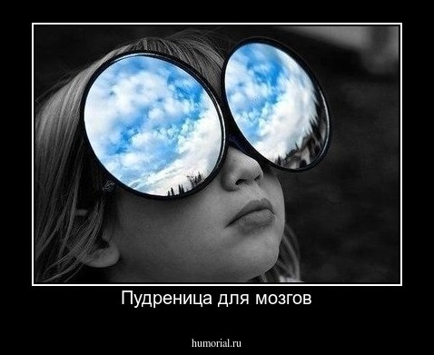 Пудреница для мозгов